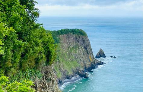 Petrock Holiday Cottages - Foto 33