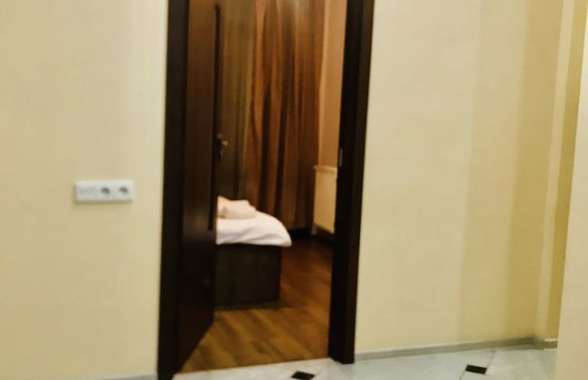 My flat near METEKHI - Foto 3