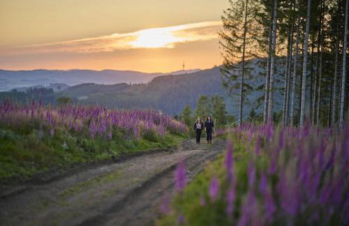 Ferienwohnung Rumphorst - Photo 29