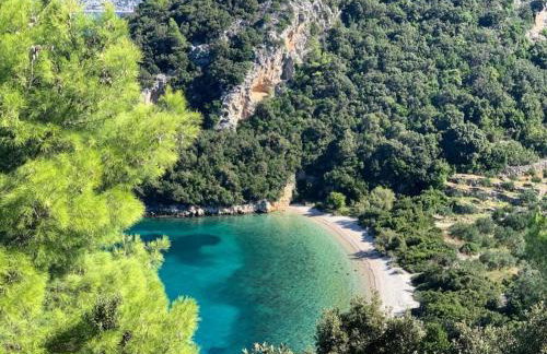 Vineyard House & Olive Grove House - Photo 57