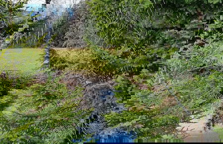 Villa Alpenpanorama - Foto 31