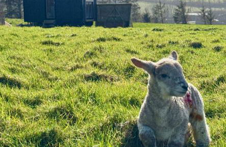 Outdoor bath, sea, sunset views - Foto 12