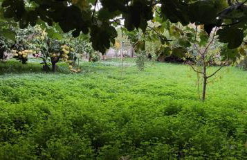 Garden house - Photo 72