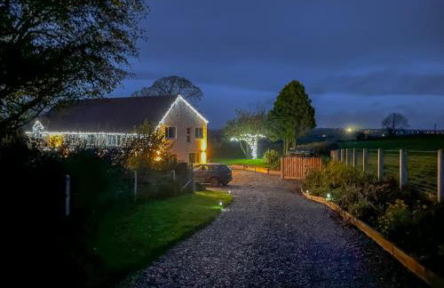 Llwyncelyn Farmhouse - Foto 43