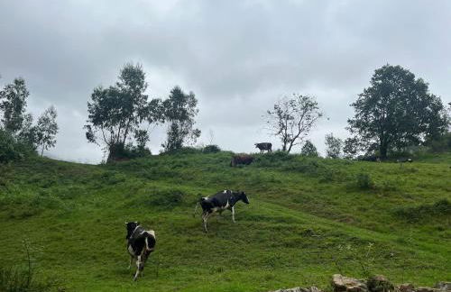 El Refugio de los Corrales - Foto 72