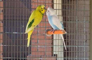 Agriturismo Fornace Certosa - Foto 46