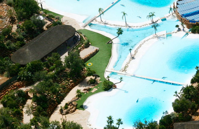 Zoomarine Emotions des dauphins - Expérience interactive - Photo 6