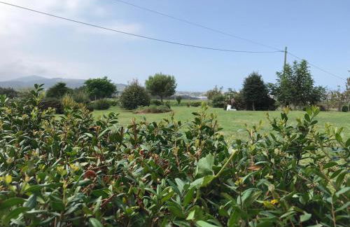 Apartamentos El Campo - Foto 68