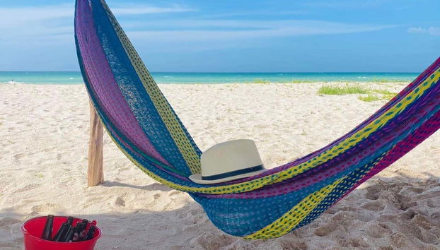 You will be able to enjoy the beaches of Celestún