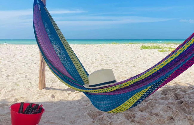 Sisal & Celestún Tour - Photo 4