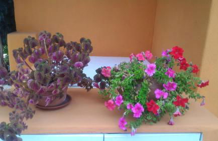 Case Vacanze Villa Lory - Foto 32