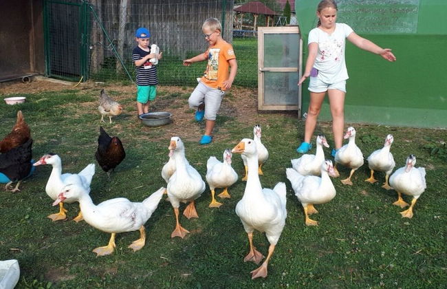 Attractive Apartment in Bavaria - Foto 9