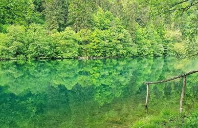 Casa Bosco - Photo 47