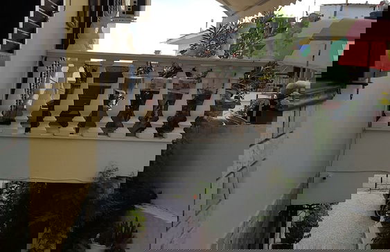 Natalie Apartments - Photo 52