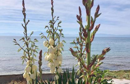 New, nice apartment, 50m from sea and from Center at Nea Irakleia - Foto 16