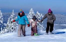 Chalet Monts Jura - Foto 18