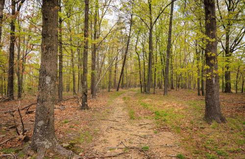 Timber Ridge Retreat - Foto 9