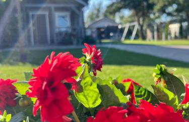 Przystanek Prawdowo - Foto 72