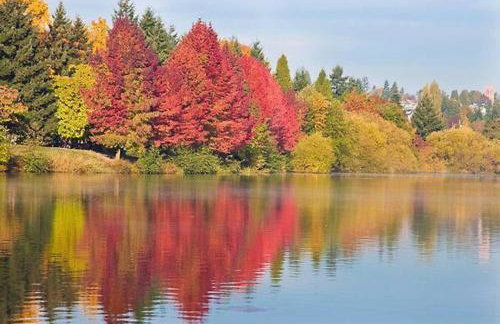 Greenlake Little Oasis- B - Foto 8