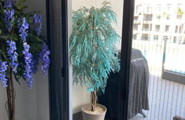 Oasis Beach 13 Casa del Guardamar - Foto 10