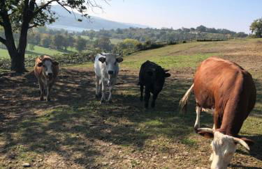 Cascina Coste - Foto 32