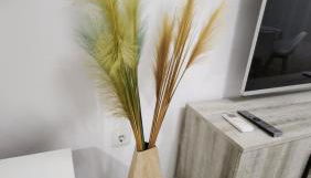 CasaNova en Terreros - Foto 5