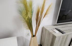 CasaNova en Terreros - Foto 5