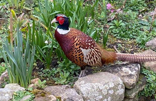 Perfect Retreat in Luxury & Historical Manor House - Photo 63