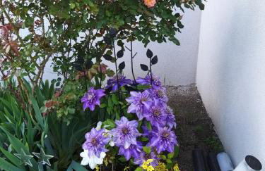 Agroturystyka "JAGAP" OAZA SPOKOJU - Foto 19