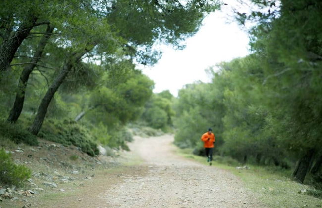 Harmony Vale- Anavissos - Foto 28