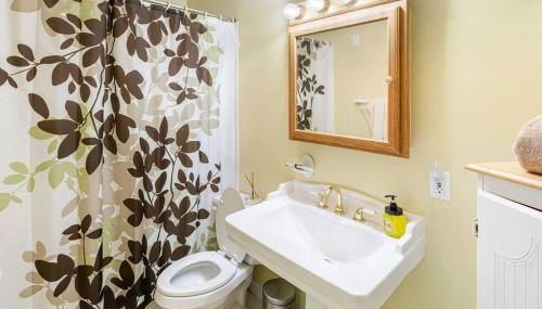 Lakefront with Lots of Light and Private Dock Access - Foto 4