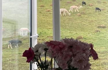 Ruby's Retreat! Farm Stay! North devon! Sleeps 6! Beaches Exmoor! - Foto 52