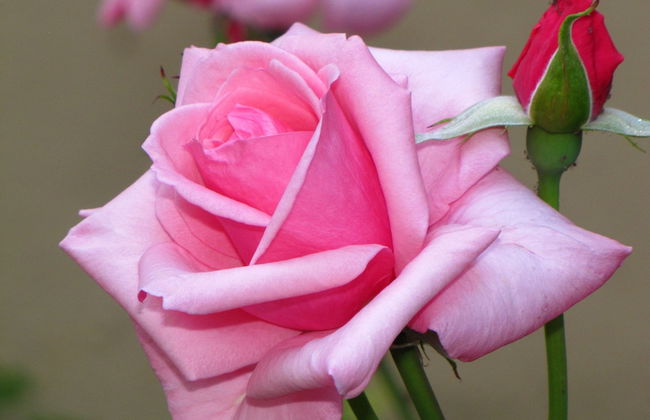 Futura Hotel - Foto 64