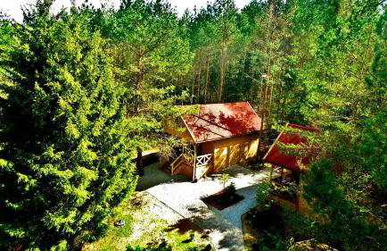 Mazury - Giżycko - Harsz - Domki - ApartMazury Osada - Foto 19