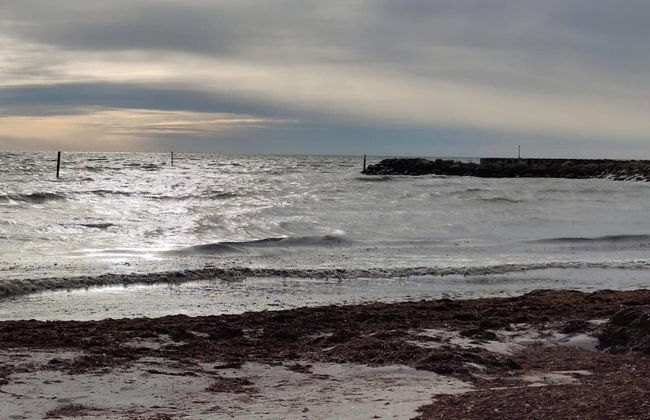 12 Person Holiday Home in Rodby - Foto 36