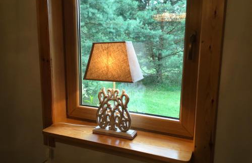 Deluxe Holiday Zdrojowa -Willa typu Alpejskiego w Borach Tucholskich-Całoroczna Balia z jacuzzi-Prywatny las i strumyk -Duża Wiata grillowa - Foto 26