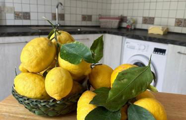 Villetta le Costiere - Foto 21