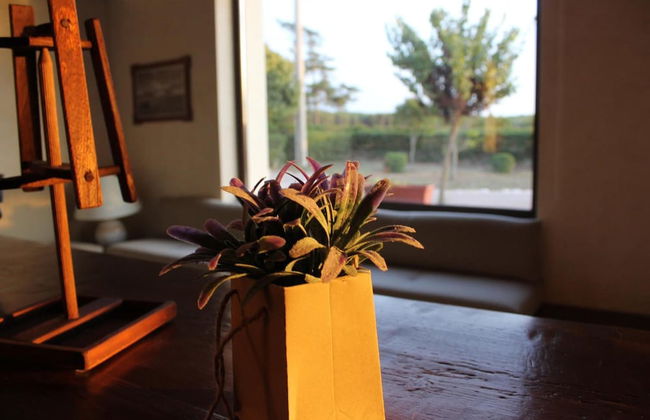 Masseria Chinunno - Foto 46