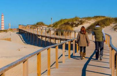 Bird’s Home - Foto 62