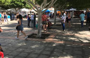 Amazing Sea View apartment with sun drenched terrace! - Photo 34