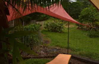 The Red Cottage and Hawaiian Pond Garden Paradise! - Foto 13