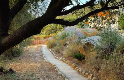 Résidence Casarella Lama - Foto 2