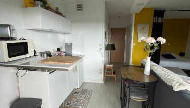 Studio cocoon avec vue sur le Beaujolais - Foto 5