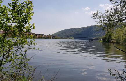 Wohnen im Springerhof - Foto 52