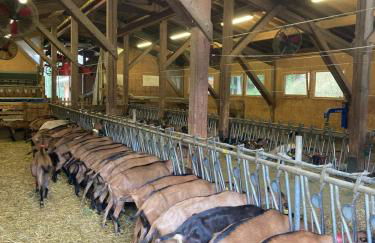 Le pied des pistes, studio 5 pers, balcon sud est, vue sur les montagnes - Foto 34