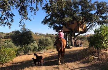 Corvatos Casas do Monte - Foto 26