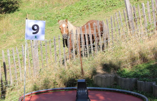 Chalet La Perle d'Oisans - Foto 70