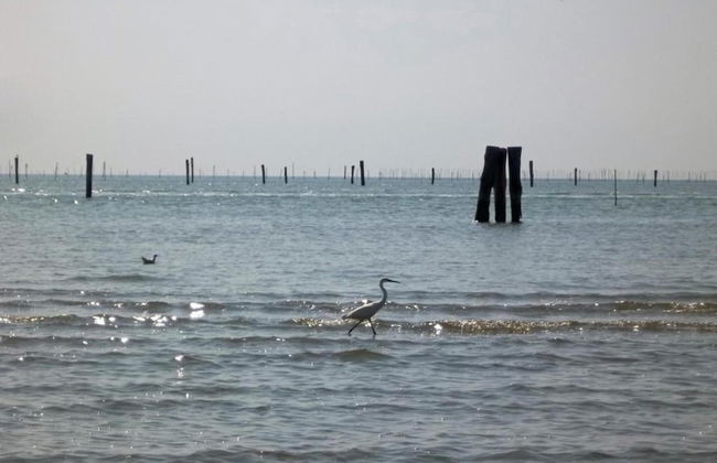 Characteristic Apartment in Codigoro With Pool - Foto 45