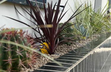 Green Forest Bungalow - Foto 19