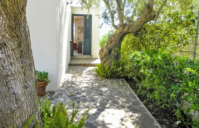 Cicala-Villa Anna - Foto 15